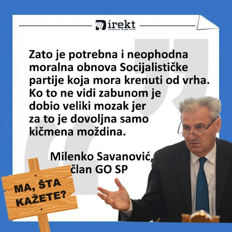 savanovic-socijalisti-anatomija