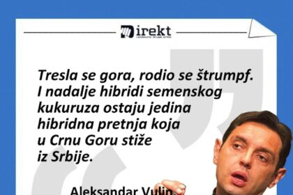 aleksandar-hibrid-vulin