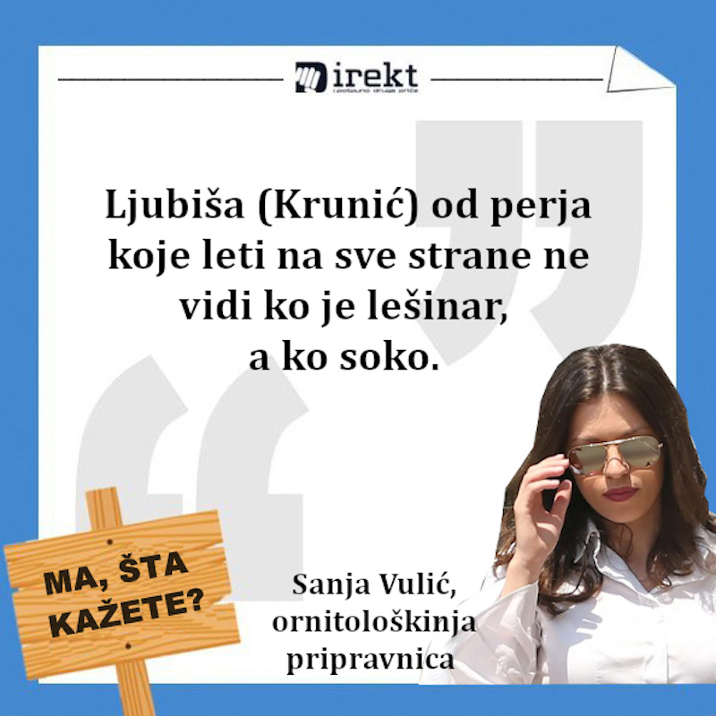sanja-vulic
