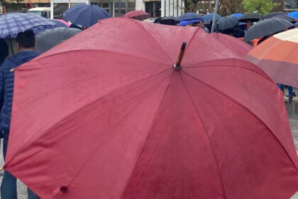 i-bi-nedelja-savetnik