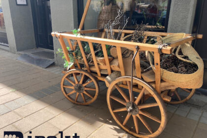 driven prikolica i bi nedelja