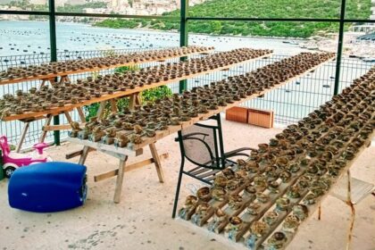 Vatrogasac i ronilac Neum