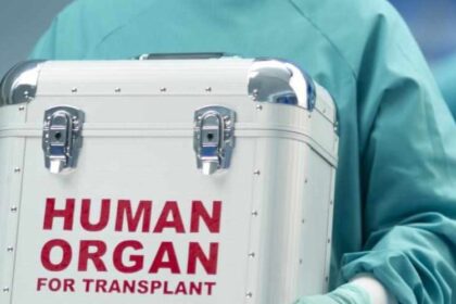 Transpaltacija organa