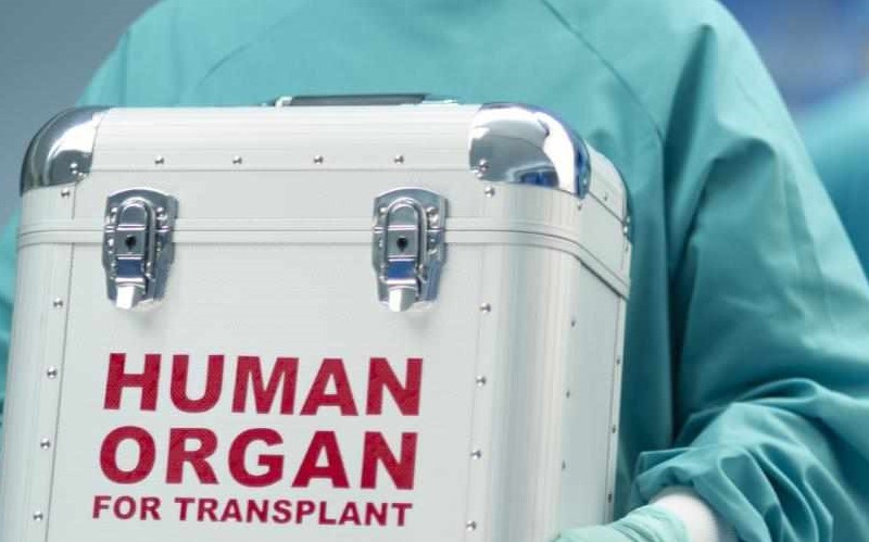 Transpaltacija organa