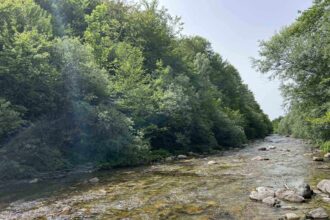 Neretva-gornji tok