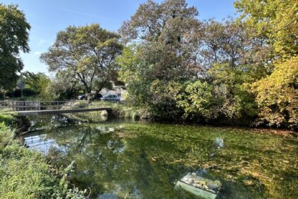 pridvorački kanal smeće