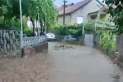 Vinogradska ulica u Trebinju