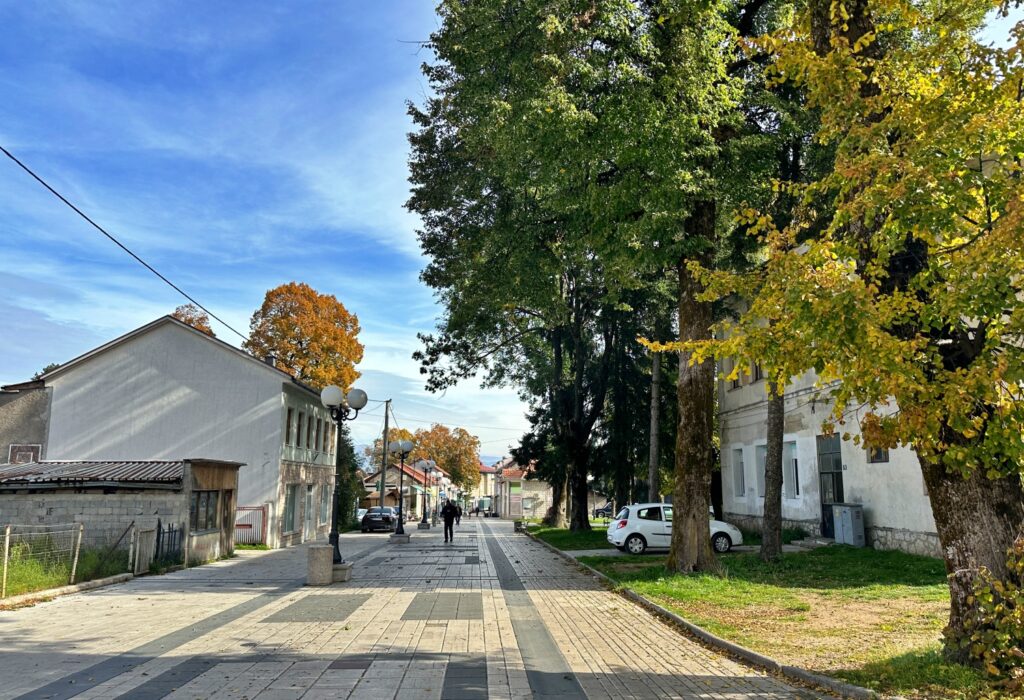 Nevesinje