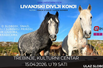 Plakat prikazivanje filma Livanjski divlji konji