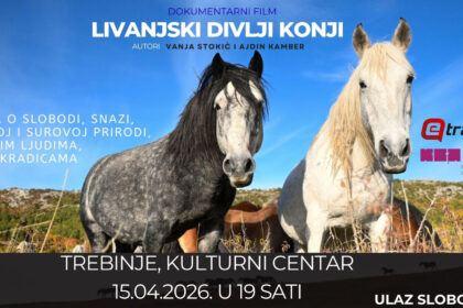 Plakat prikazivanje filma Livanjski divlji konji
