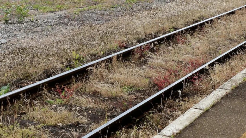 Korov i trava obrasli su tračnice duž cijele pruge (Foto: Žurnal)