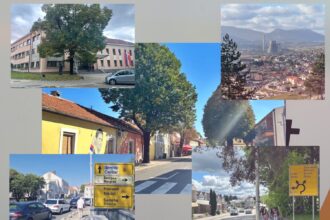 PDV, akcizni i poreski dužnici iz Hercegovine