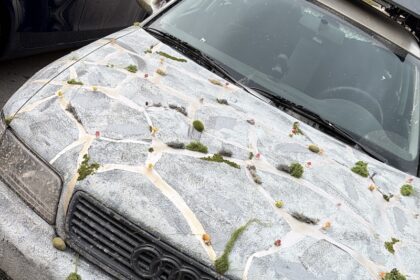 zanimljiv automobil sa reljefom na haubi