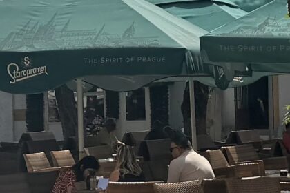 Osoba koja se predstavila kao Verica iz Višegrada u bašti hotela u Gacku