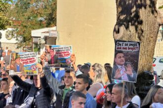 Protest protiv izgradnje solarne elektrane Bileća 1