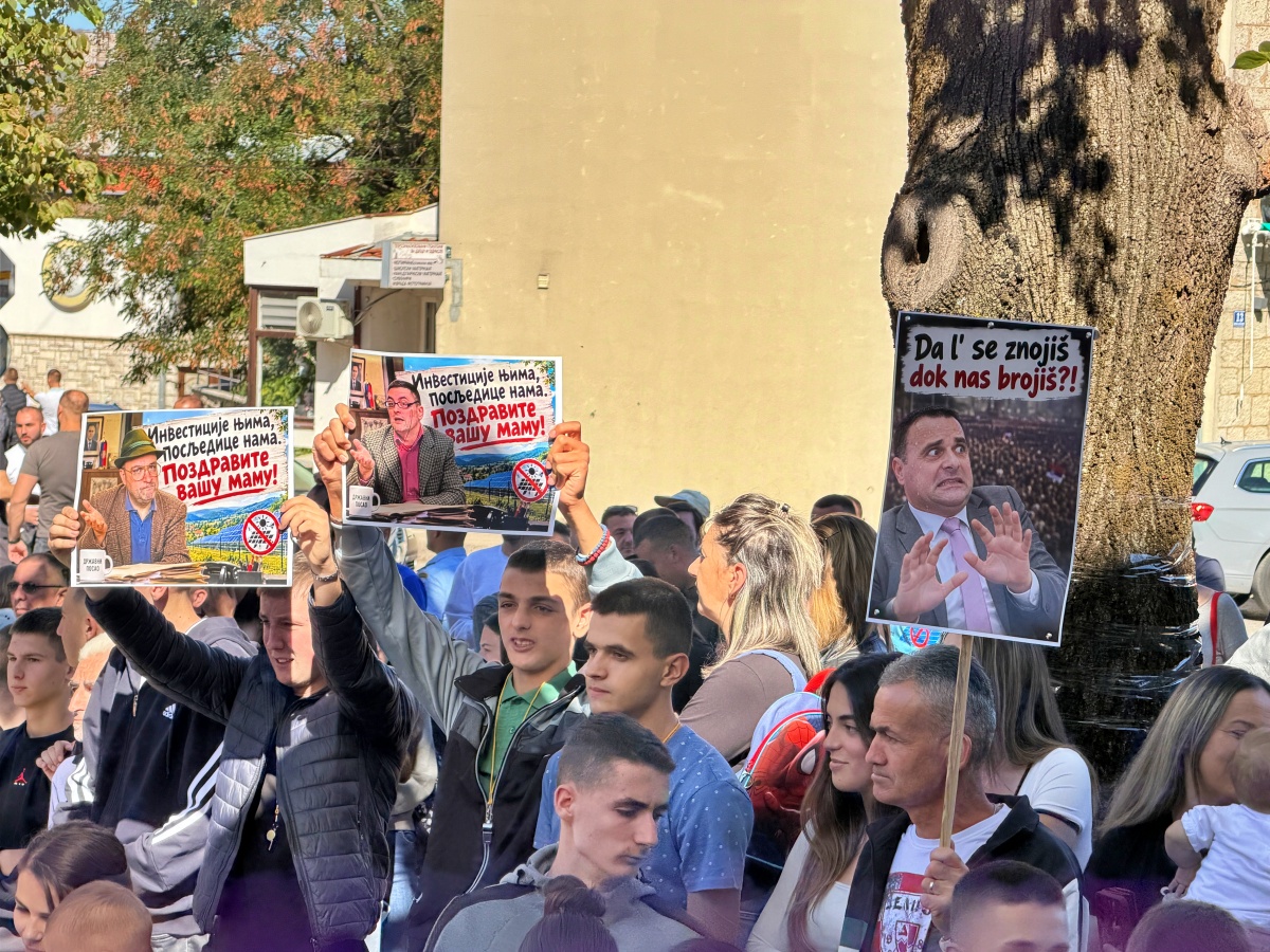 Protest protiv izgradnje solarne elektrane Bileća 1